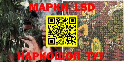 индика Лесосибирск