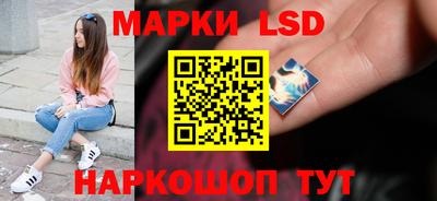 индика Лесосибирск