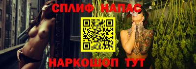 индика Лесосибирск