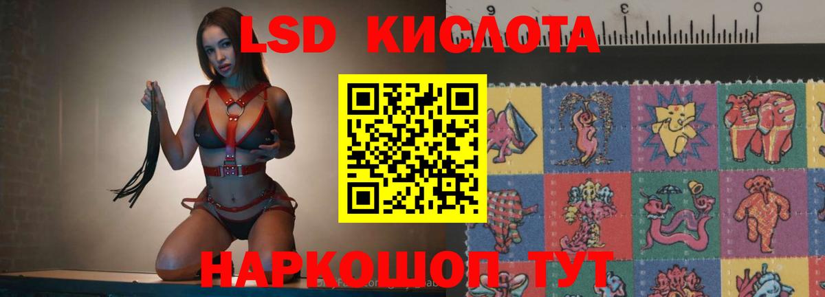 ЛСД экстази кислота  Вход с VPN  ЛСД экстази  Елизово  MEGA рабочий сайт  Лсд 25 экстази кислота 