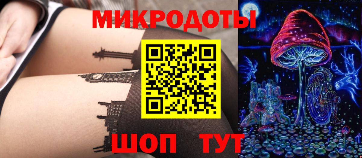 Елизово  Галлюциногенные грибы Psilocybe  Вход с VPN 